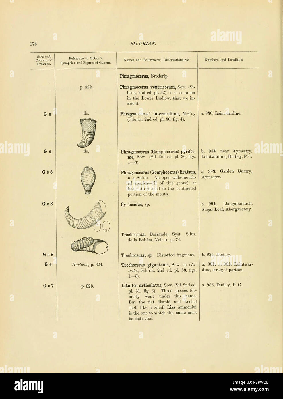 A catalogue of the collection of Cambrian and Silurian fossils contained in the Geological Museum of the University of Cambridge (Page 174) Stock Photo