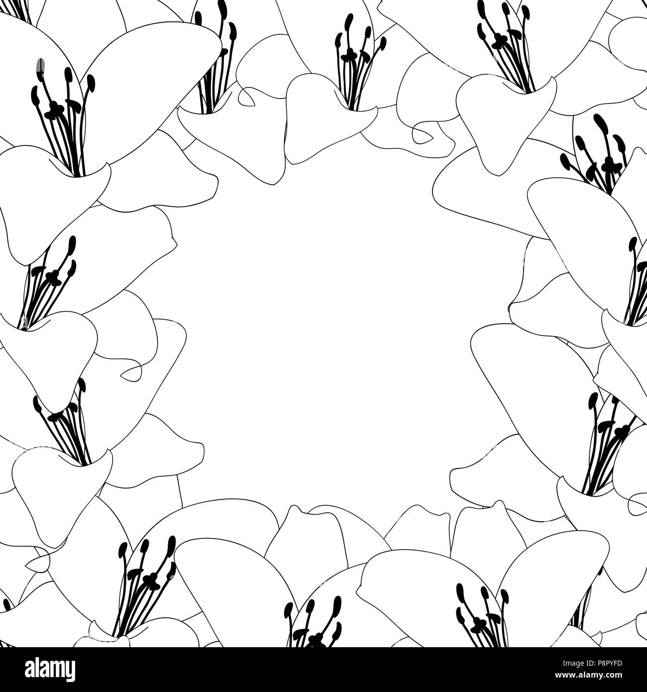 Lily Flower Outline Border isolated on White Background. Vector ...