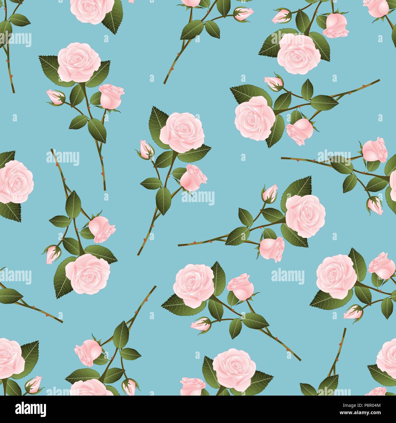 Beautiful sweet pink rose Stock Vector Images - Alamy