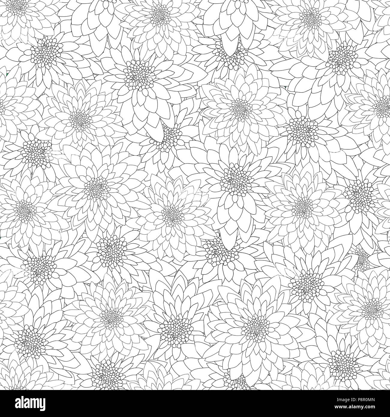 Chrysanthemum Outline Seamless Background. Vector Illustration. Stock Vector