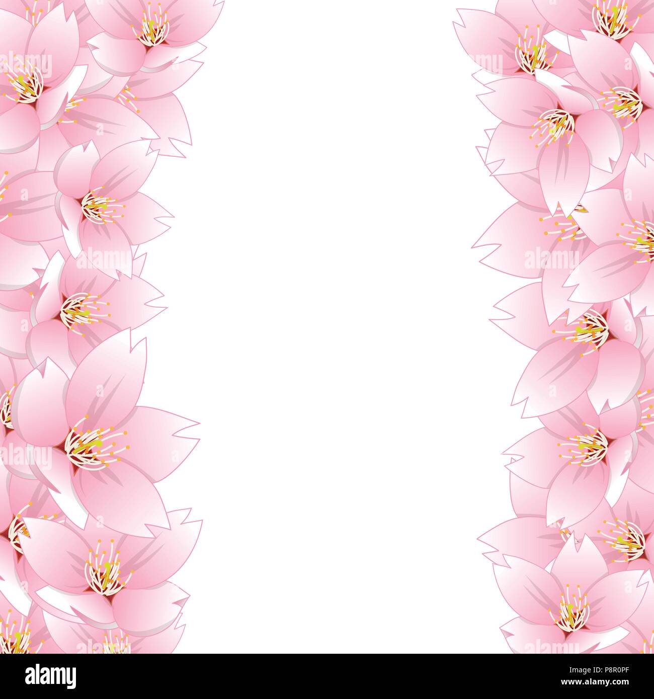 Prunus serrulata  - Cherry blossom, Sakura Border isolated on White Background. Vector Illustration. Stock Vector