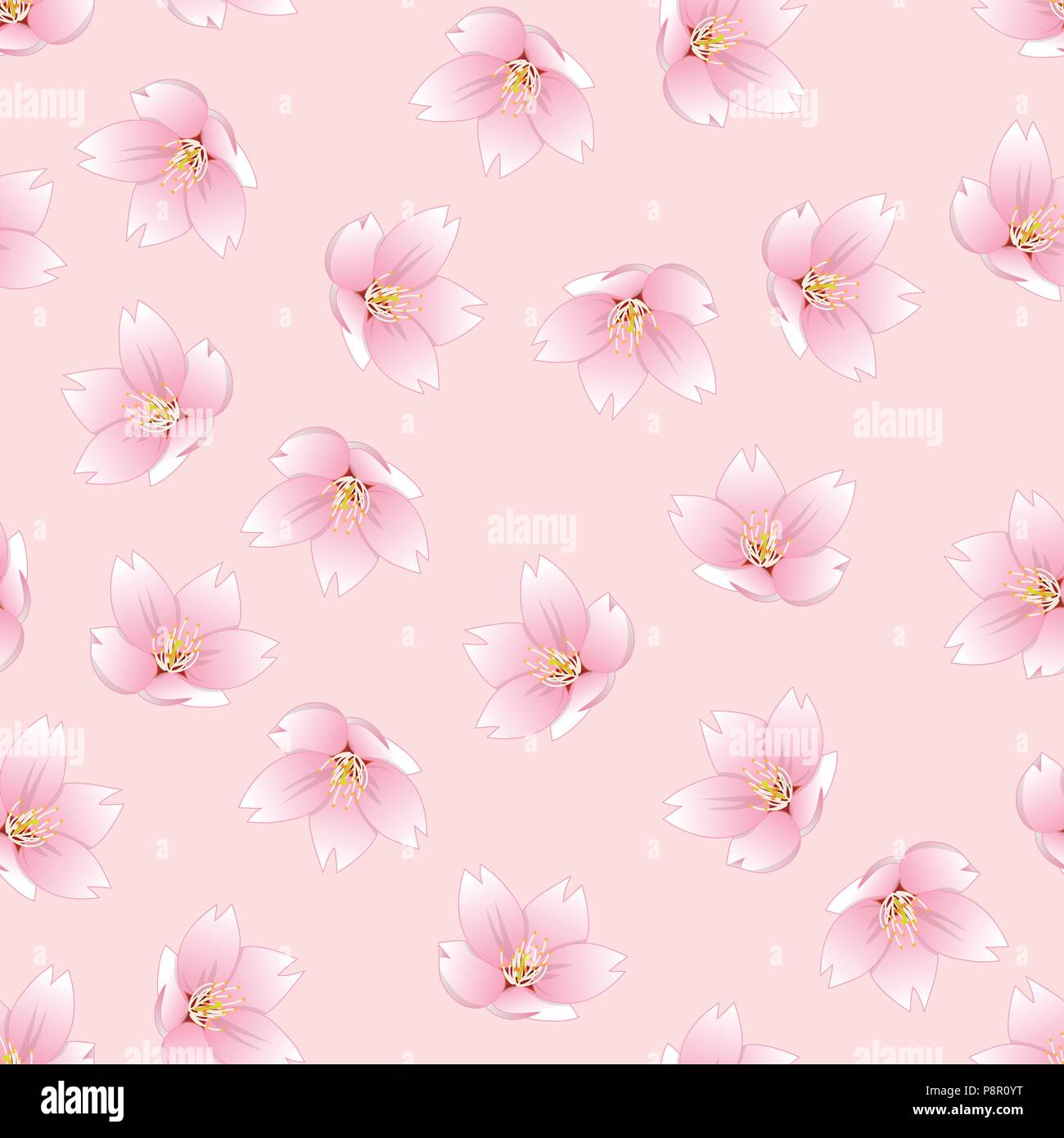 Prunus serrulata Outline - Cherry blossom, Sakura on Pink Background. Vector Illustration. Stock Vector