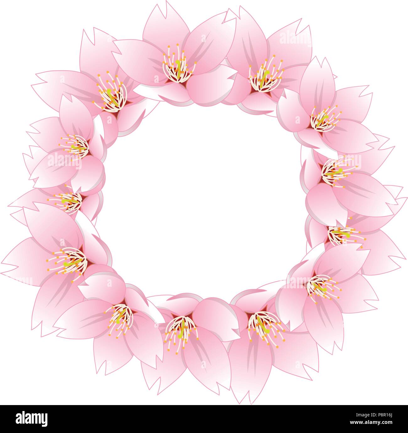 Prunus serrulata  - Cherry blossom, Sakura Wreath isolated on White Background. Vector Illustration. Stock Vector