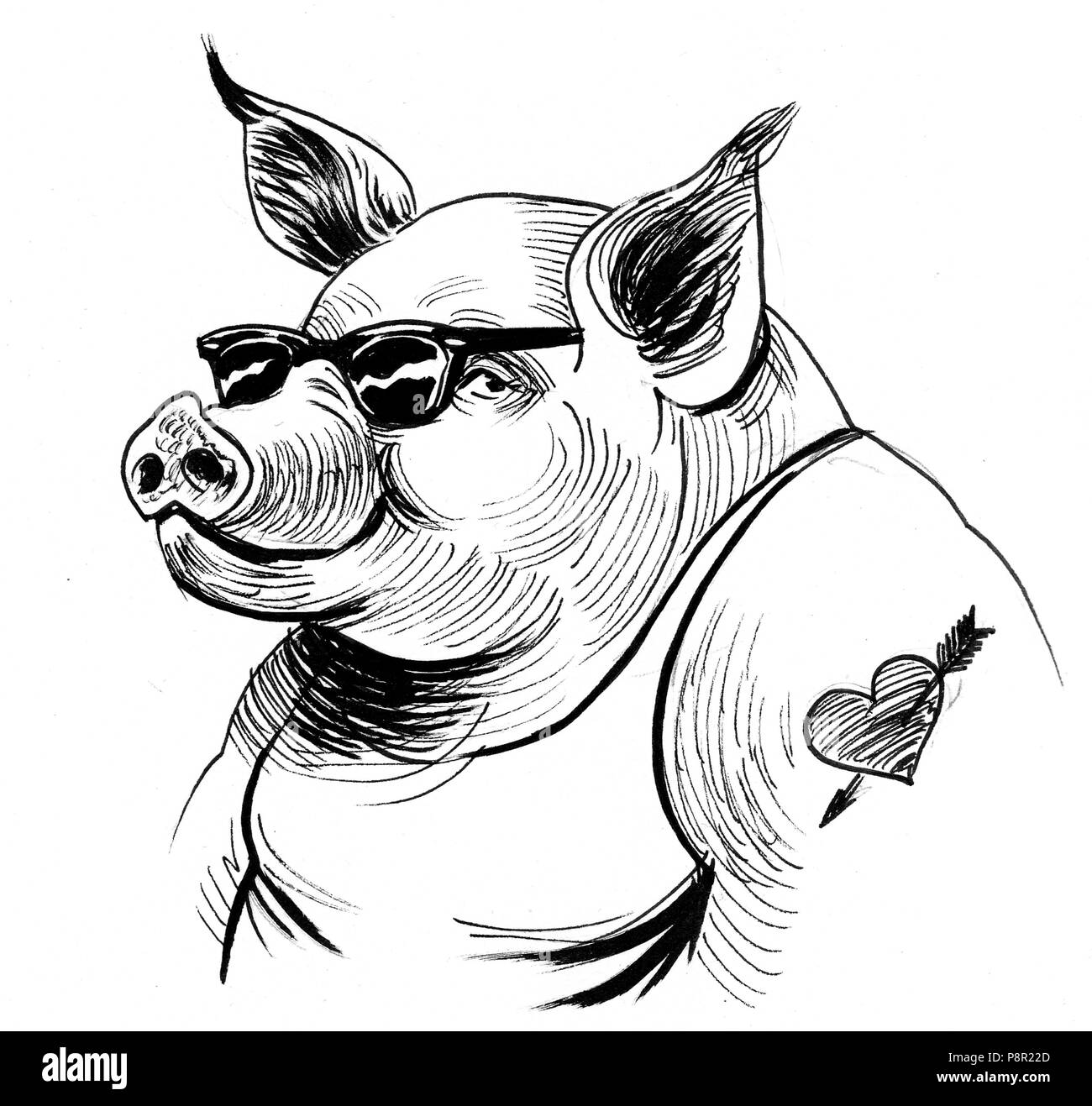 Pig Illustration High Resolution Stock Photography And Images Alamy