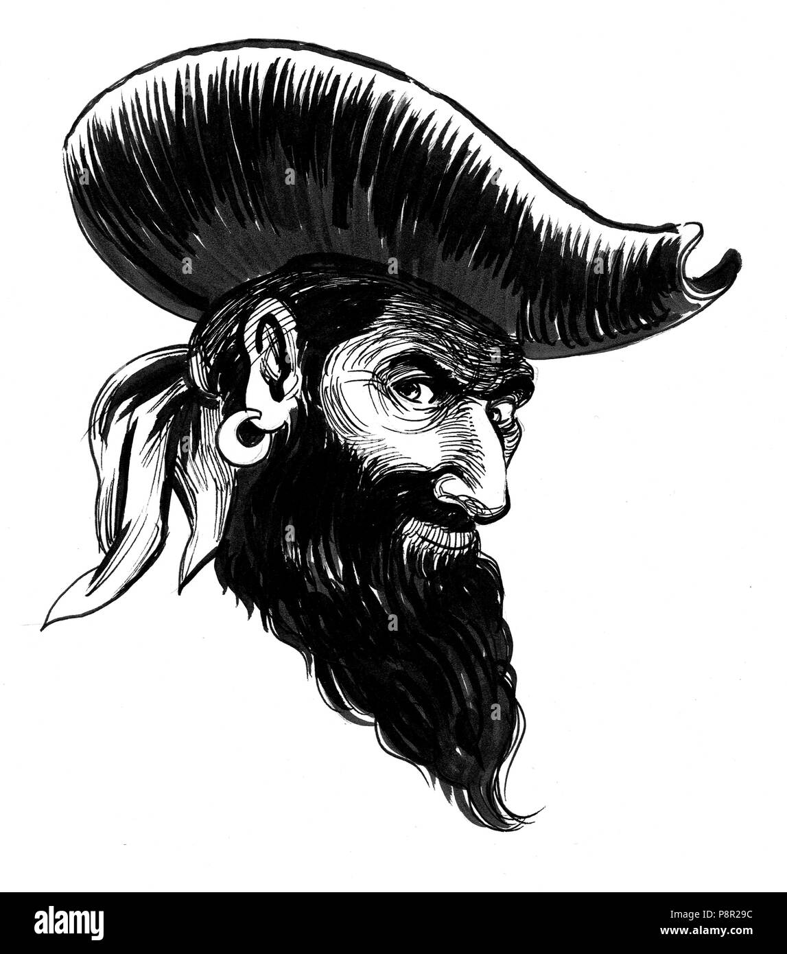 Pirate Captain In The Hat Ink Black And White Illustration Stock Photo Alamy