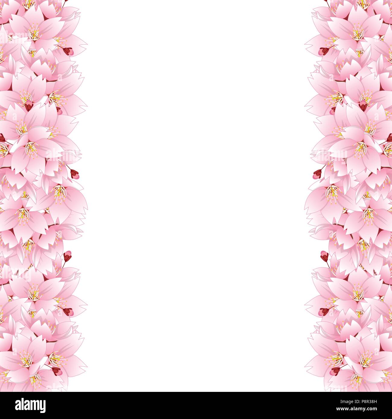 Prunus serrulata Border - Cherry blossom, Sakura. National Flower of Japan. Vector Illustration. isolated on white Background. Stock Vector