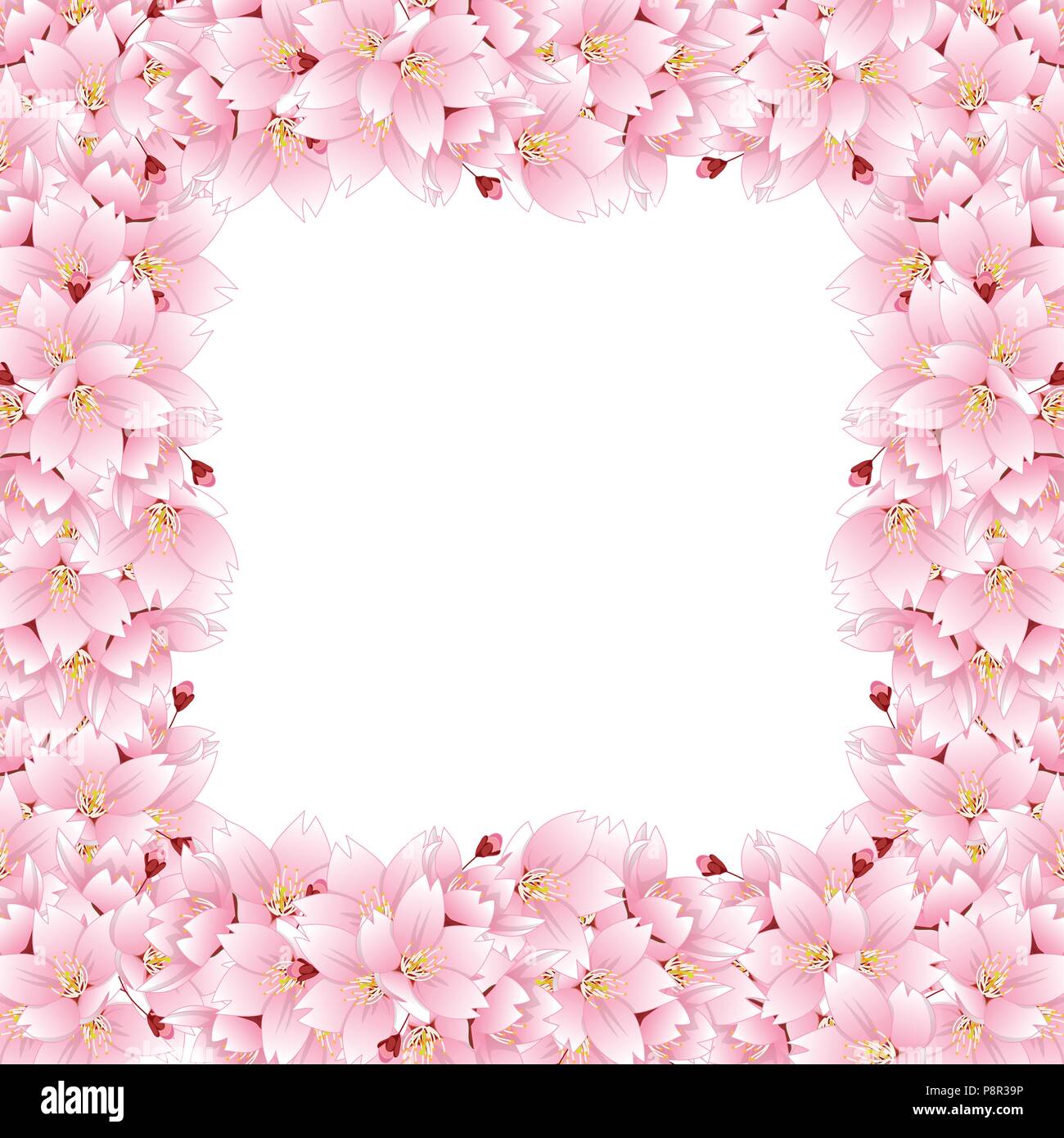 Prunus serrulata Border - Cherry blossom, Sakura. National Flower of Japan. Vector Illustration. isolated on white Background. Stock Vector