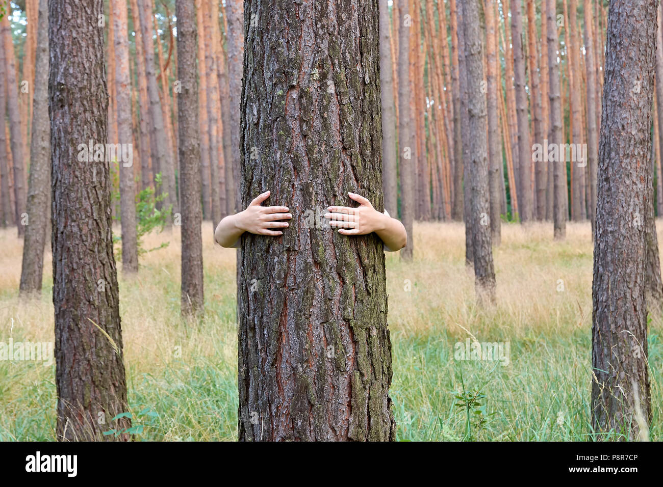 A young woman hugging a tree trunk in a forest Stock Photo
