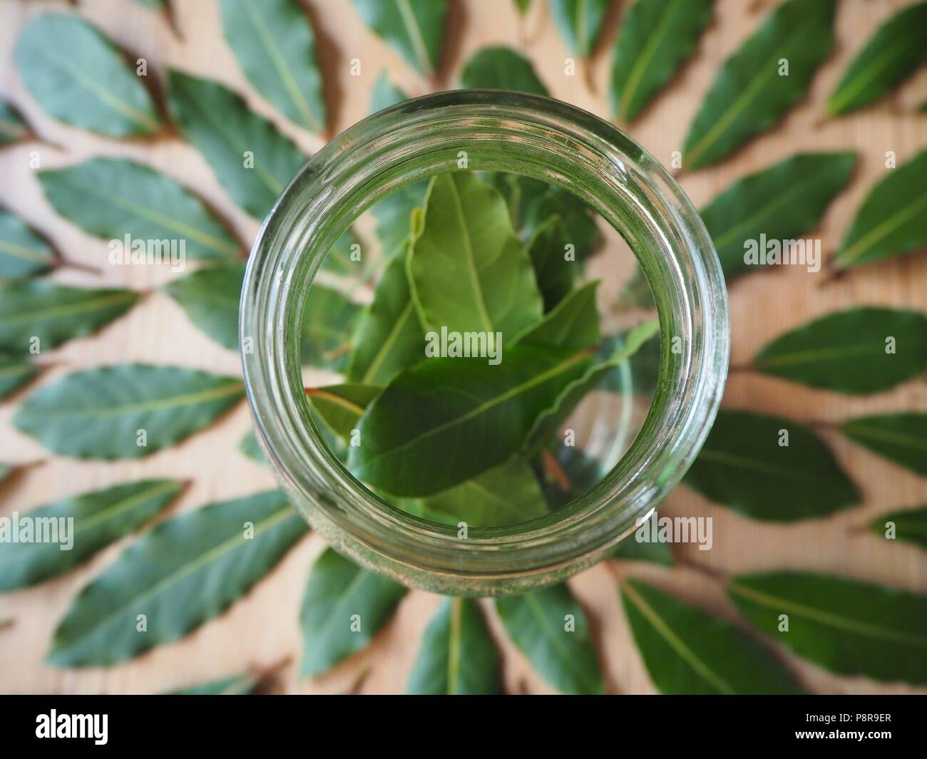 Bay leaves in a glass Stock Photo Alamy