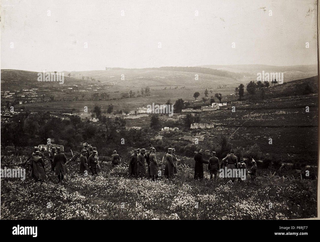 .   359 Karl I. beobachtet die Fortschritte der Gegenoffensive in Galizien, die von Mitte Juli bis Anfang August andauerte. Hier ist er am 23. Juli im Frontgebiet unterwegs. (BildID 15566431) Stock Photo