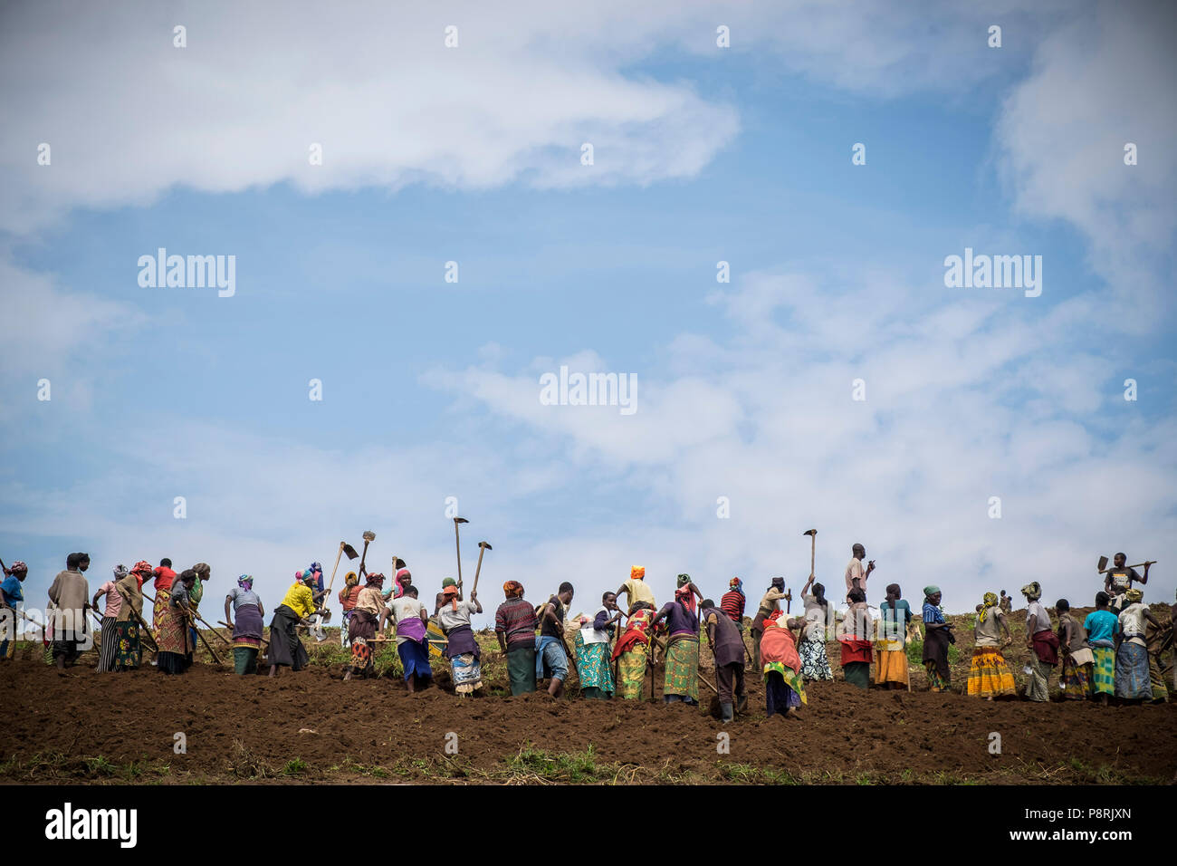 Rwanda,surrounding of Kibuye,peasants at work Stock Photo
