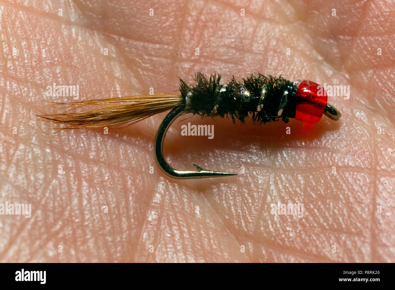 is fishing a sport uk