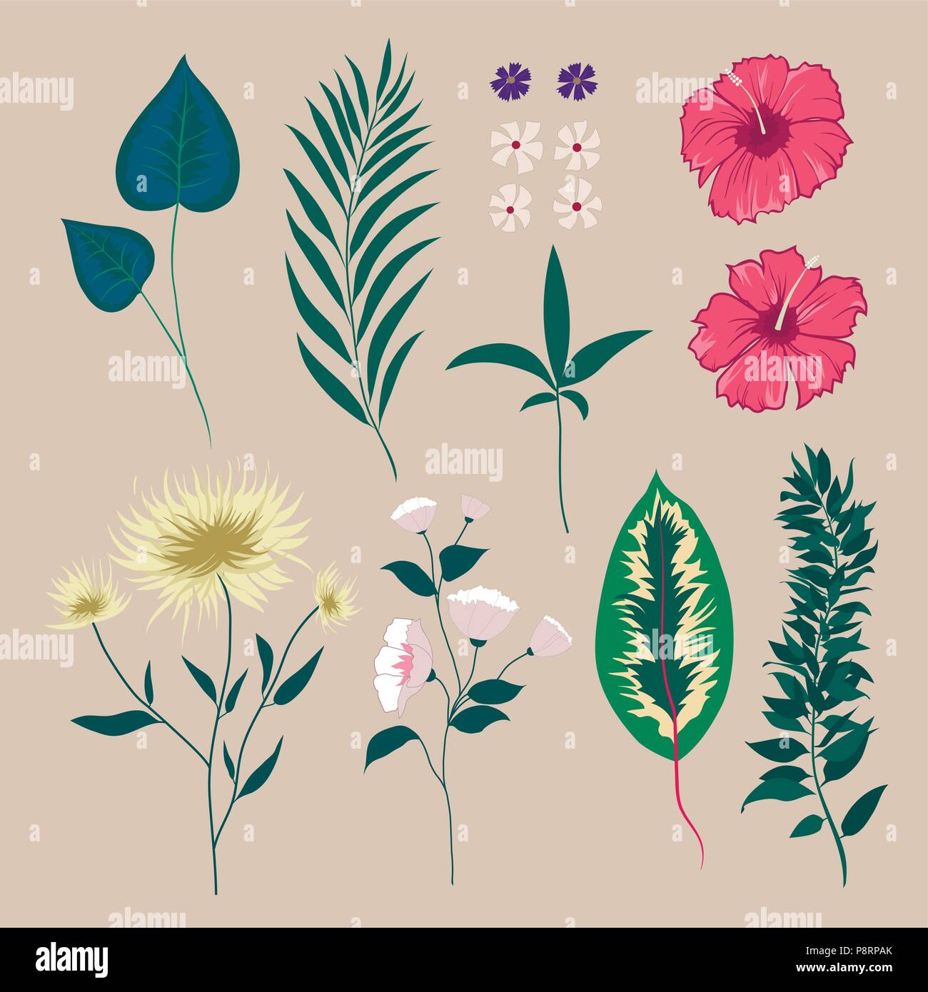 Vector set with wild flowers. Isolated collection Stock Vector