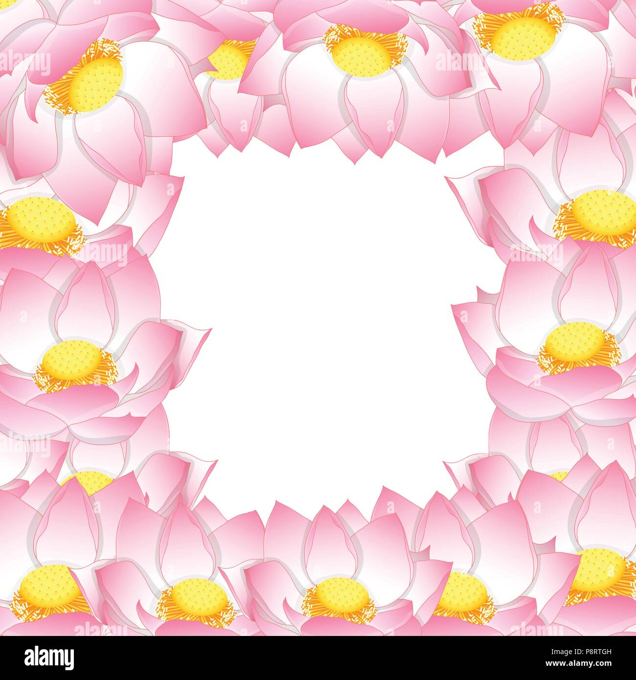 Pink Indian lotus Border. (Nelumbo nucifera,sacred lotus, bean of India, Egyptian bean. National flower of India and Vietnam) Vector Illustration. Stock Vector