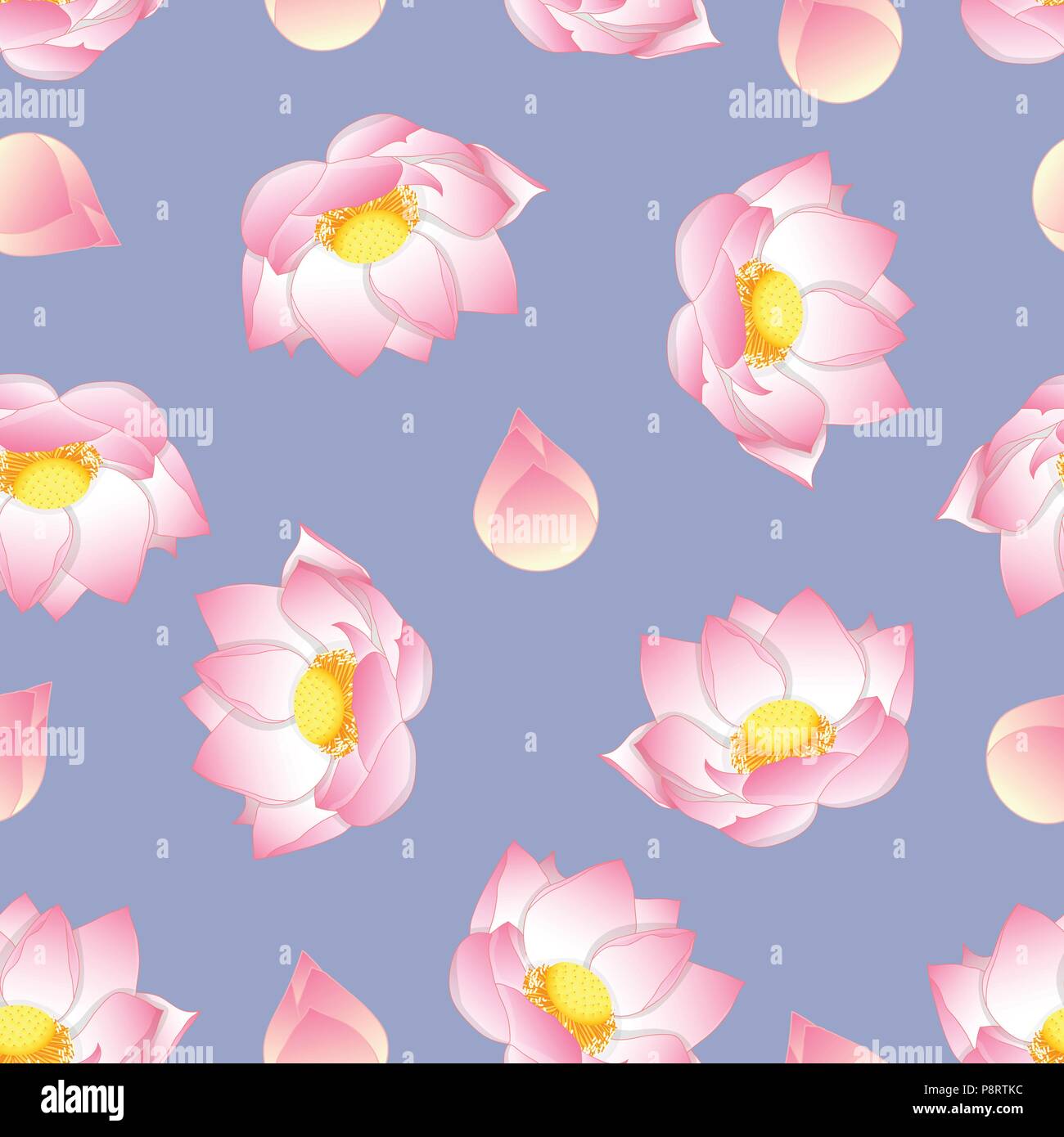 My Image 31