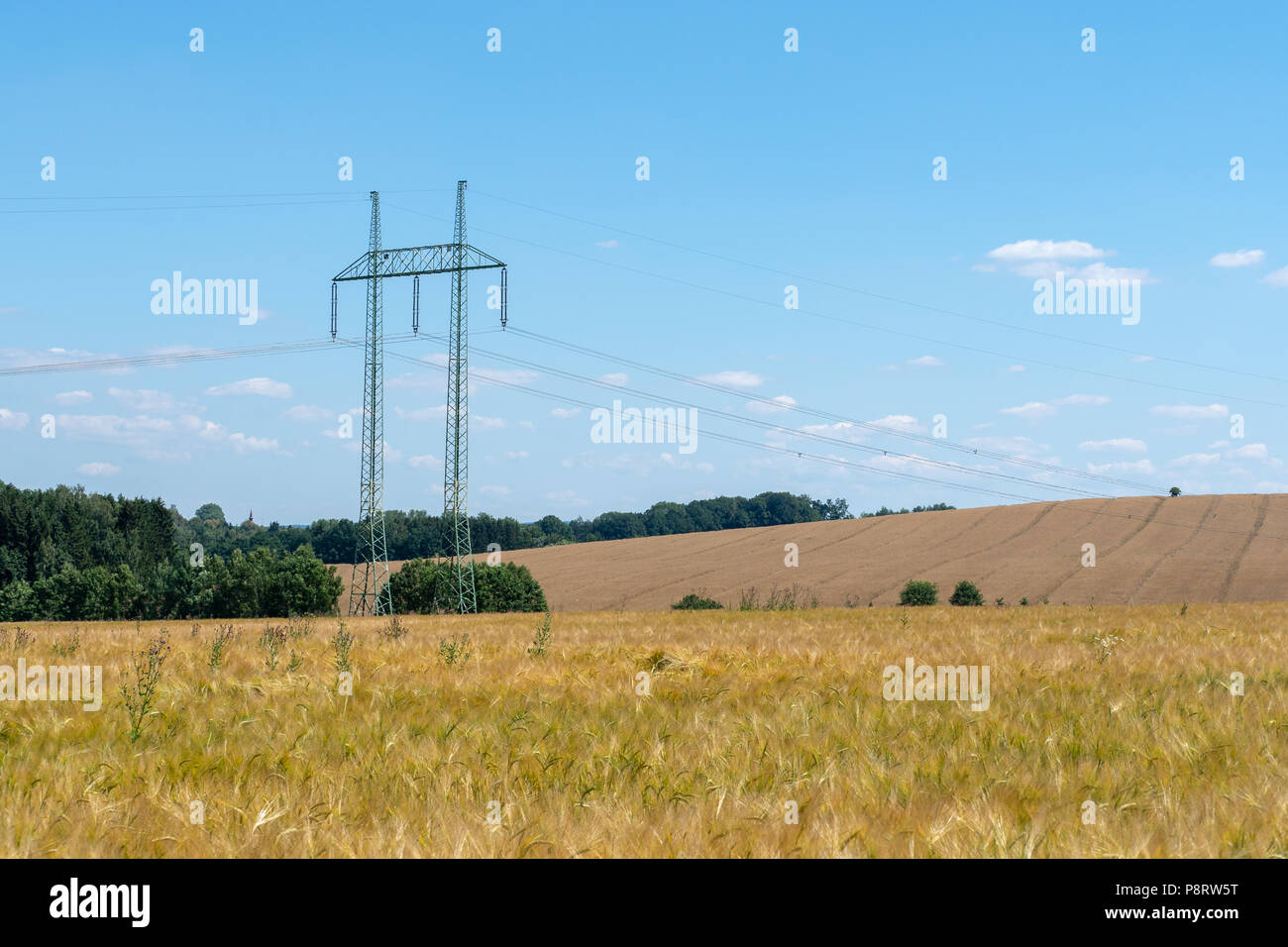 High voltage power lines above wheat field Stock Photo Alamy