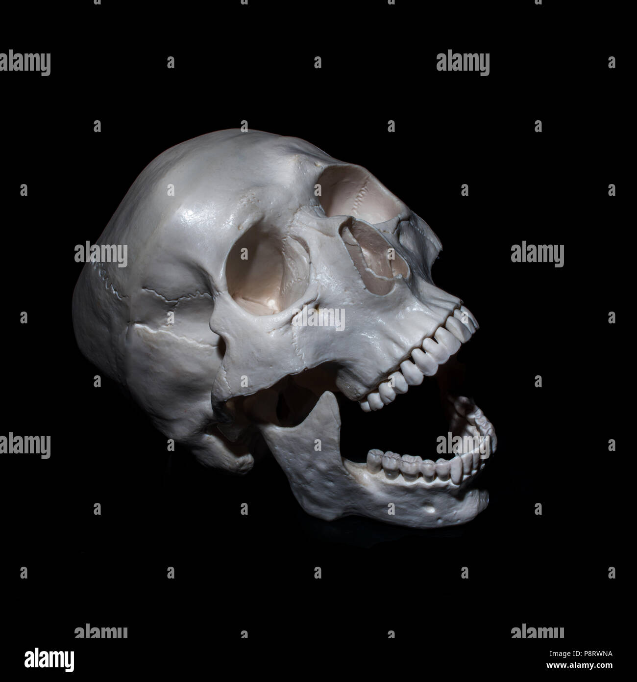 Halloween. Human skull. Black background. Gloomy concept free space Stock Photo