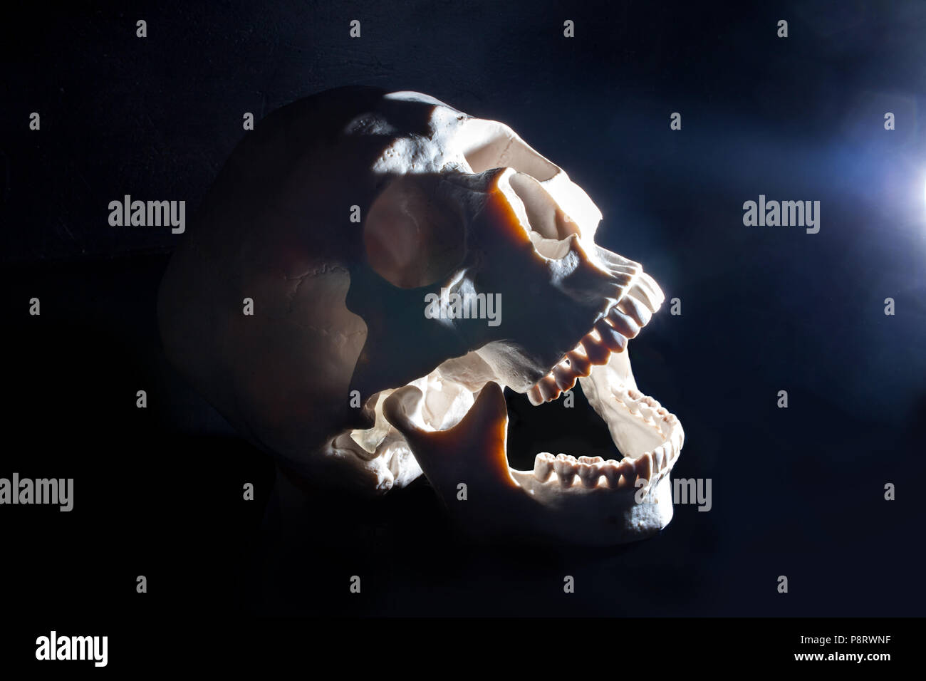 Halloween. Human skull. Black background. Hard light from the side Stock Photo