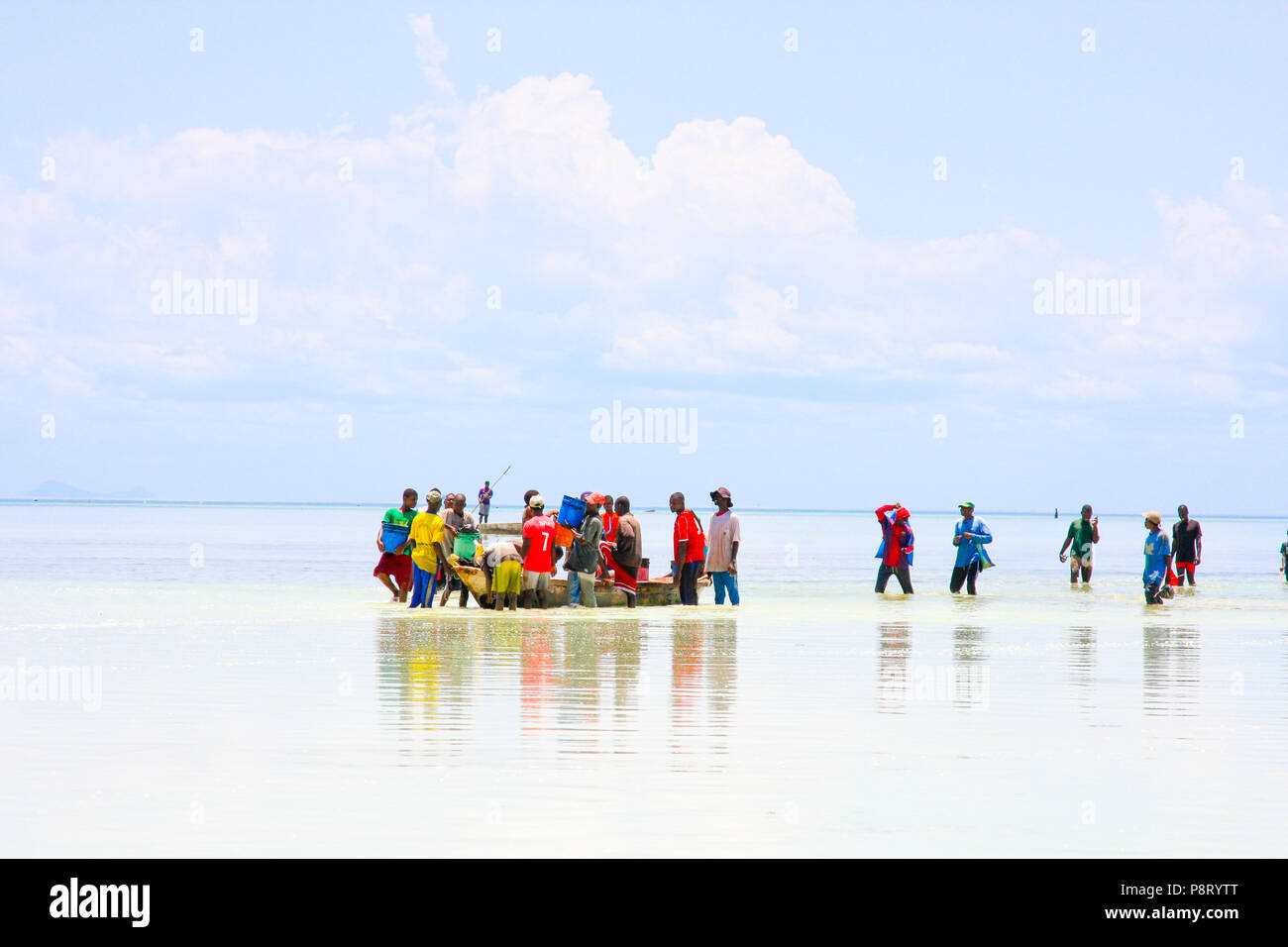 Group of people bringing in the catch of fish, Zanzibar, Africa Stock Photo