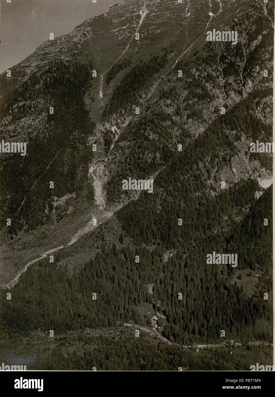 .   62 Blick von der deutschen Kanzel auf das Seebachtal, Grenzwiese mit dem Gregnedulhang. (15-7.1917.) (BildID 15800723) Stock Photo