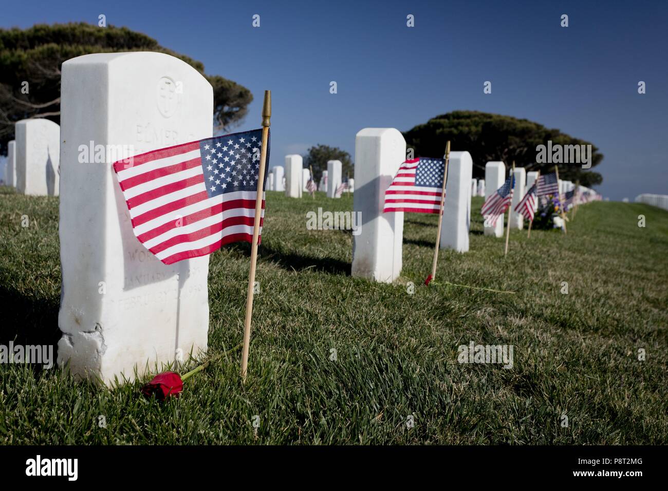 On Memorial Day American flags are placed at each grave at Fort ...