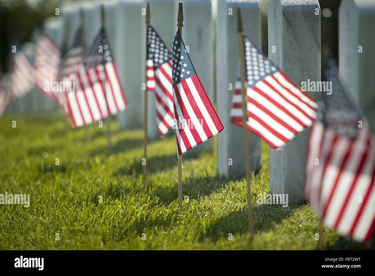 On Memorial Day American flags are placed at each grave at Fort ...