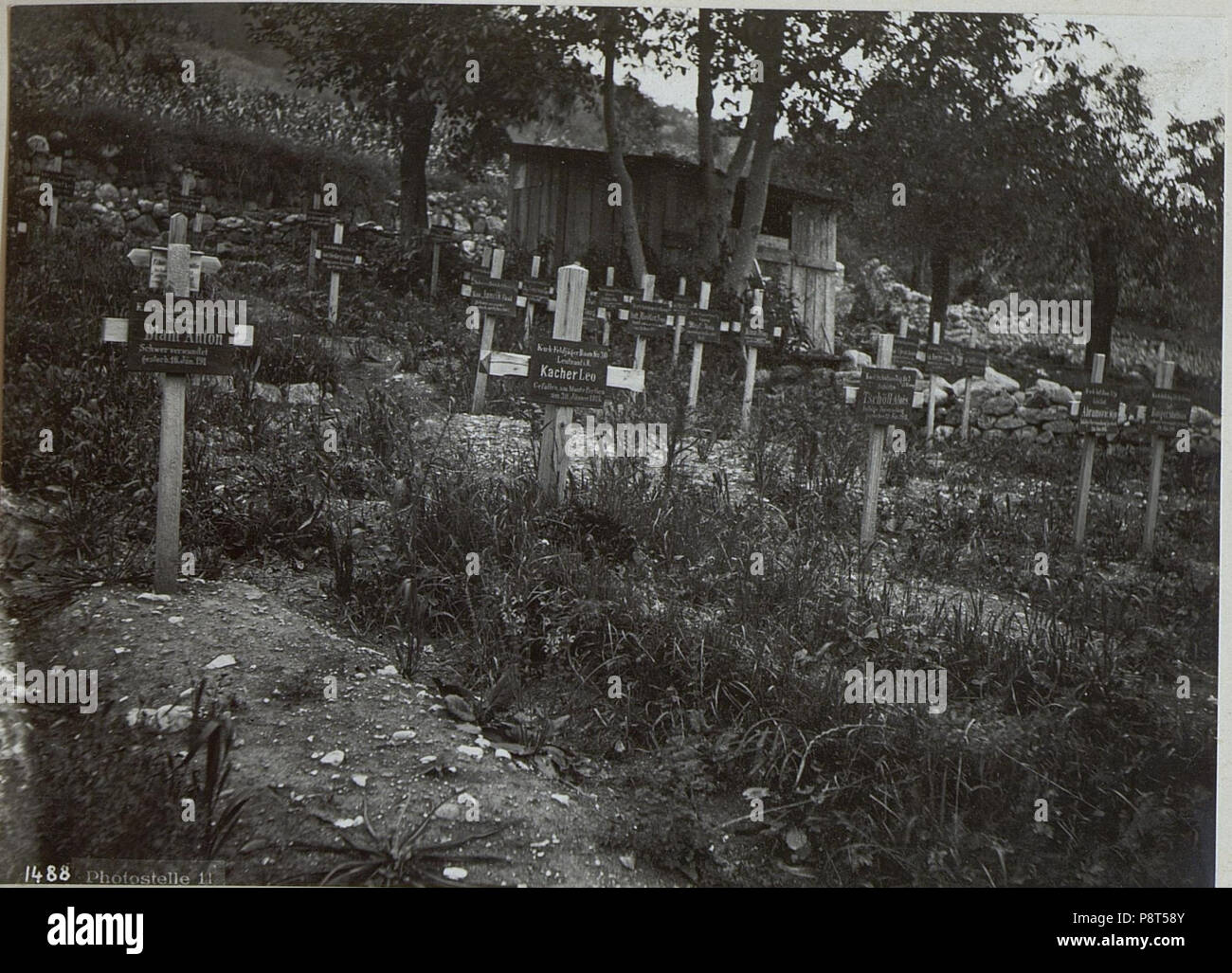 .   40 Arten. Heldenfriedhof. (BildID 15644050) Stock Photo