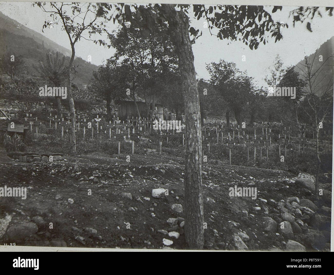 .   40 Arten. Heldenfriedhof. (BildID 15644058) Stock Photo
