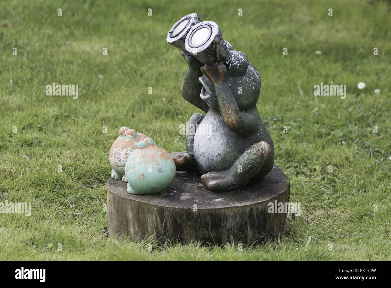 frog sculpture with binoculars, april 2018 usage worldwide Stock