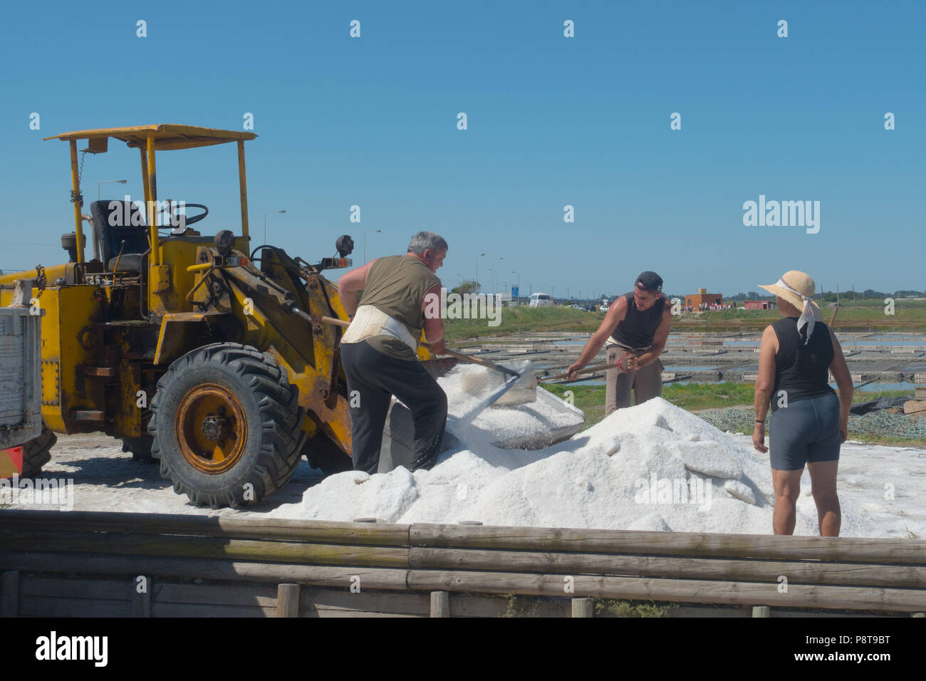 Collecting salt from one of the few remaining salt pans at Aveiro, Portugal Stock Photo
