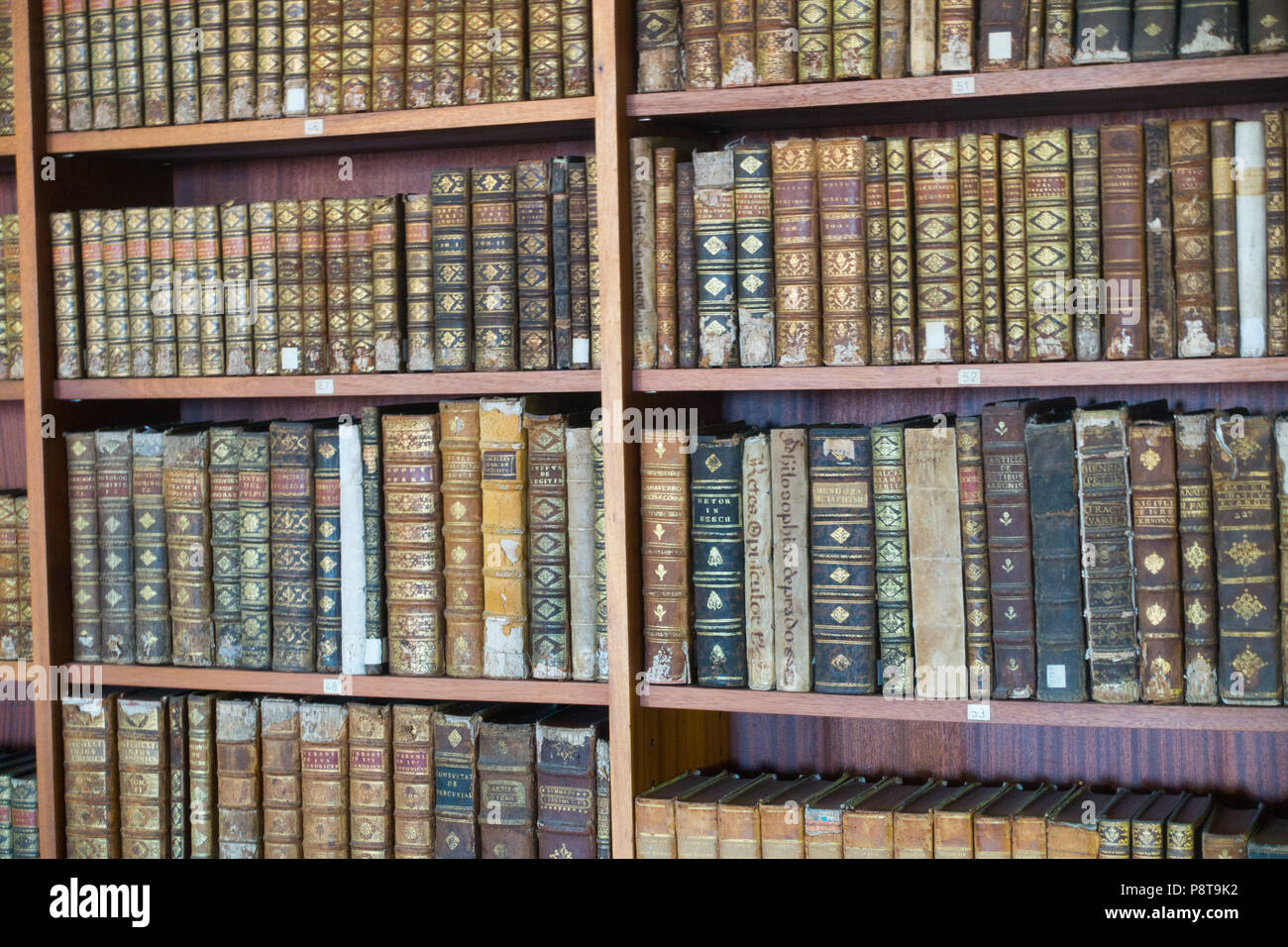 Shelves of ancient books Stock Photo