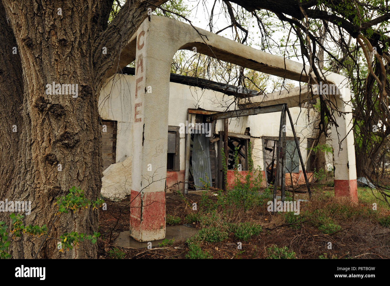 Tree branches and weeds surround an abandoned cafe in the quiet Route 66 town of Alanreed, Texas. The Texas Panhandle town lies east of Amarillo. Stock Photo