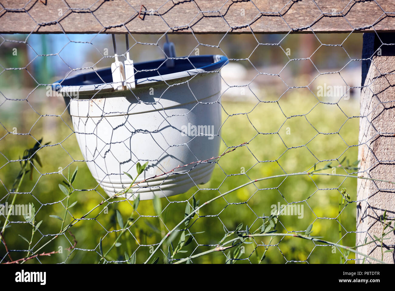 Chicken wire garden hi-res stock photography and images - Alamy