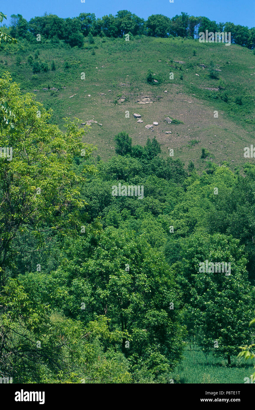 Black Hawk War, Battle of Bad Axe site, Wisconsin. Photograph Stock