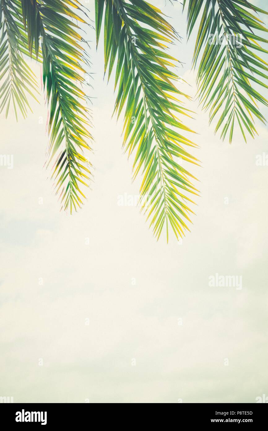 Apple iPhone XR Stock Photo - Alamy
