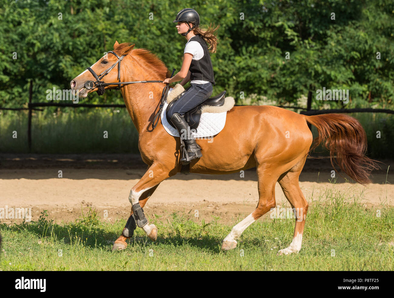 Young girl riding a horse Stock Photo - Alamy