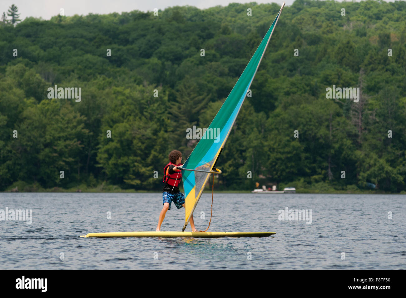 Teenage boy windsurfing on a lake in Ontario, canada Stock Photo Alamy