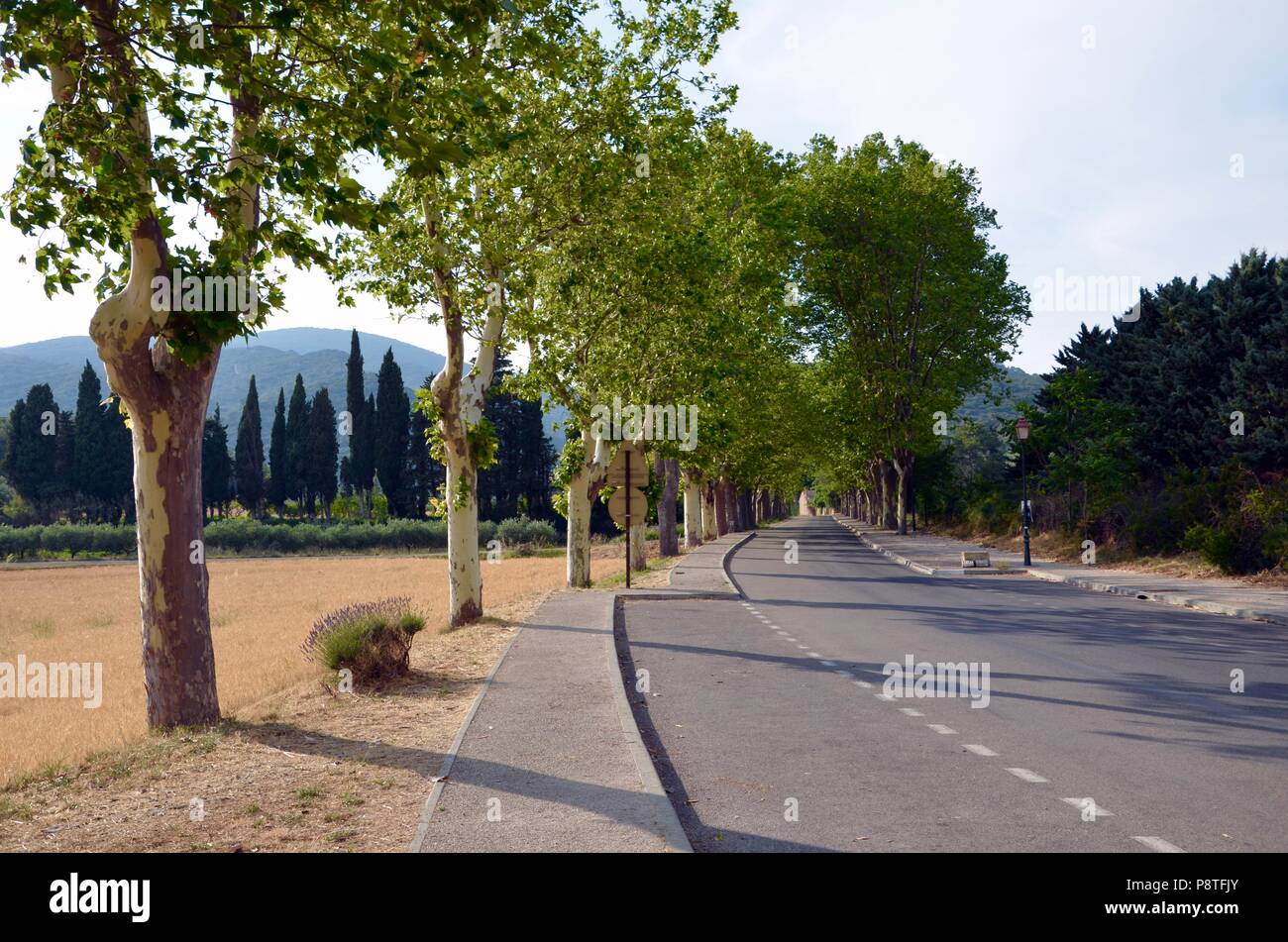 Empty parkway in the small village Lourmarin in Provence, Vaucluse, on lavender route. Village is classified as one of the most beautiful in France. Stock Photo