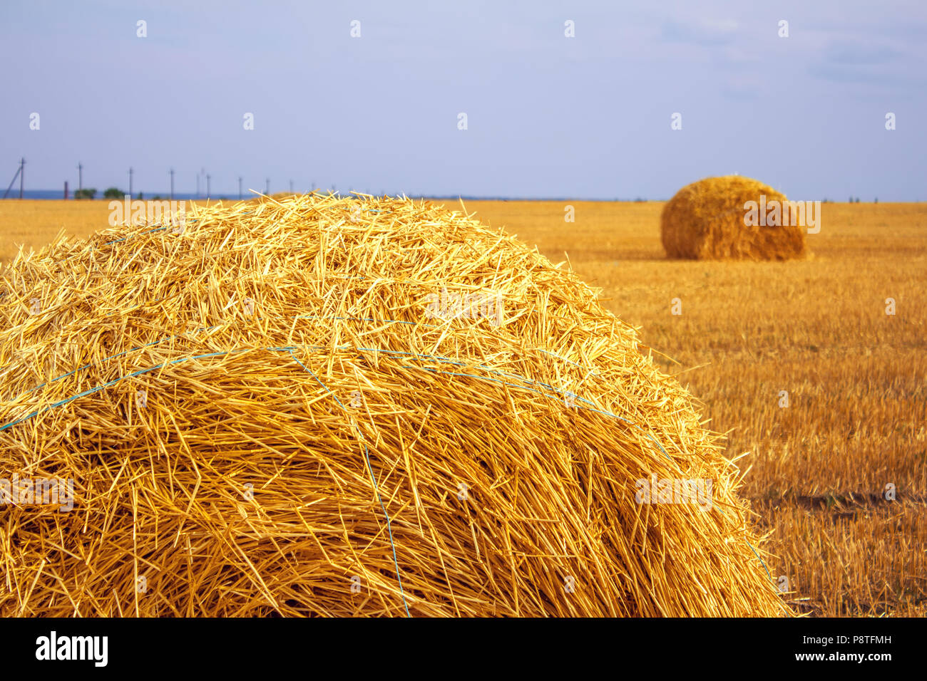 haystacks after harvest on the field Stock Photo - Alamy