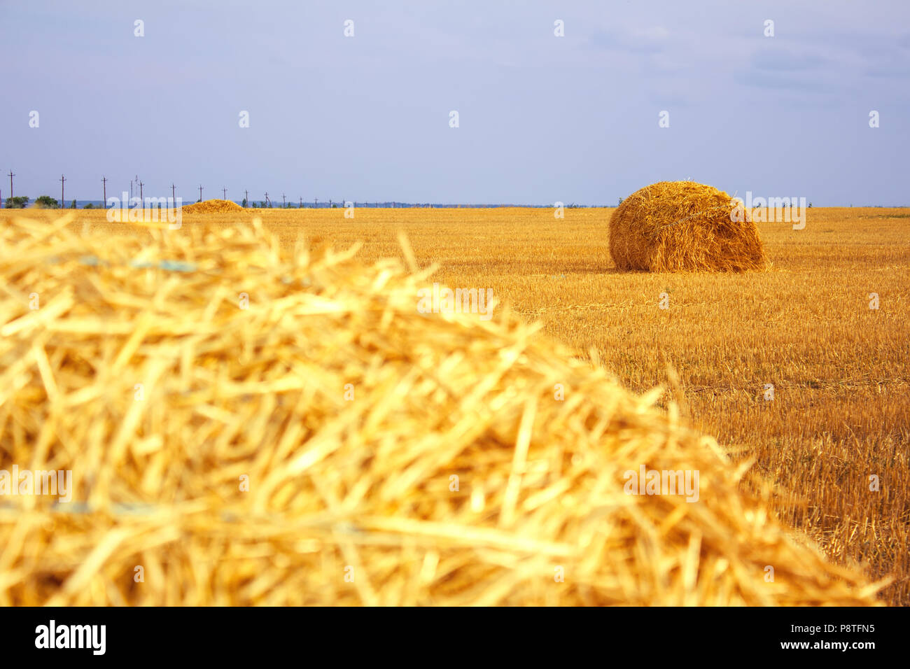 haystacks after harvest on the field Stock Photo - Alamy