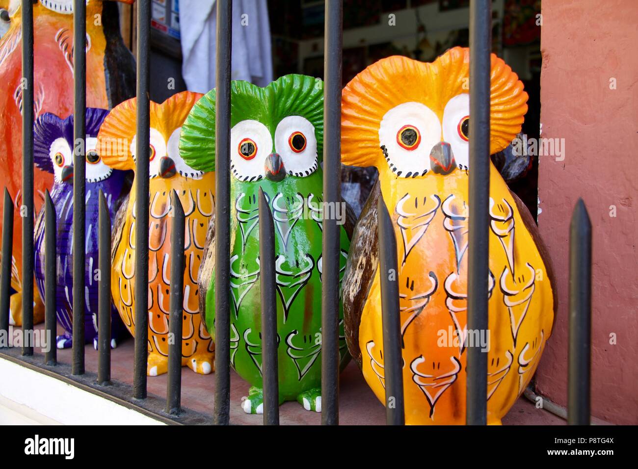 Good luck owls called Tecolote in Guatemala. They double as a piggy