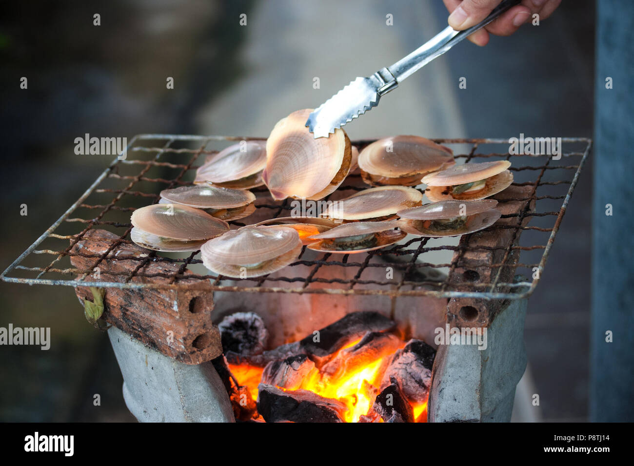 Grilled scallops on the grill Stock Photo Alamy