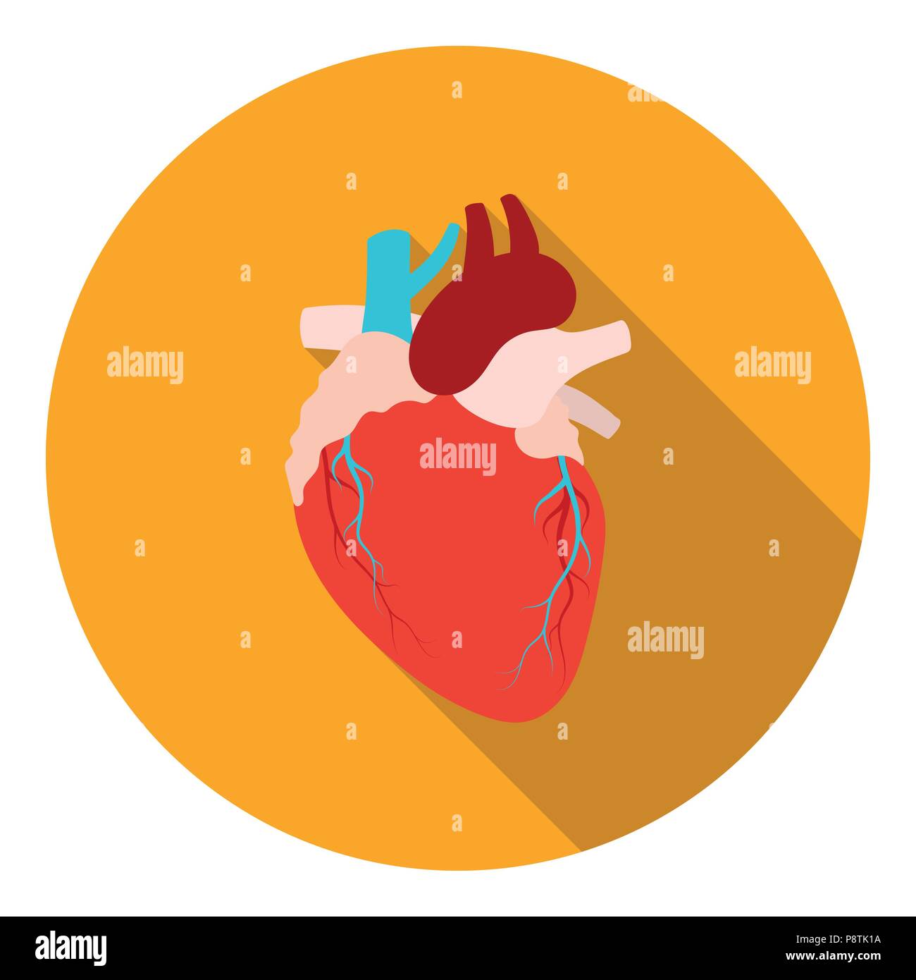 Heart icon in flat style isolated on white background. Organs symbol ...