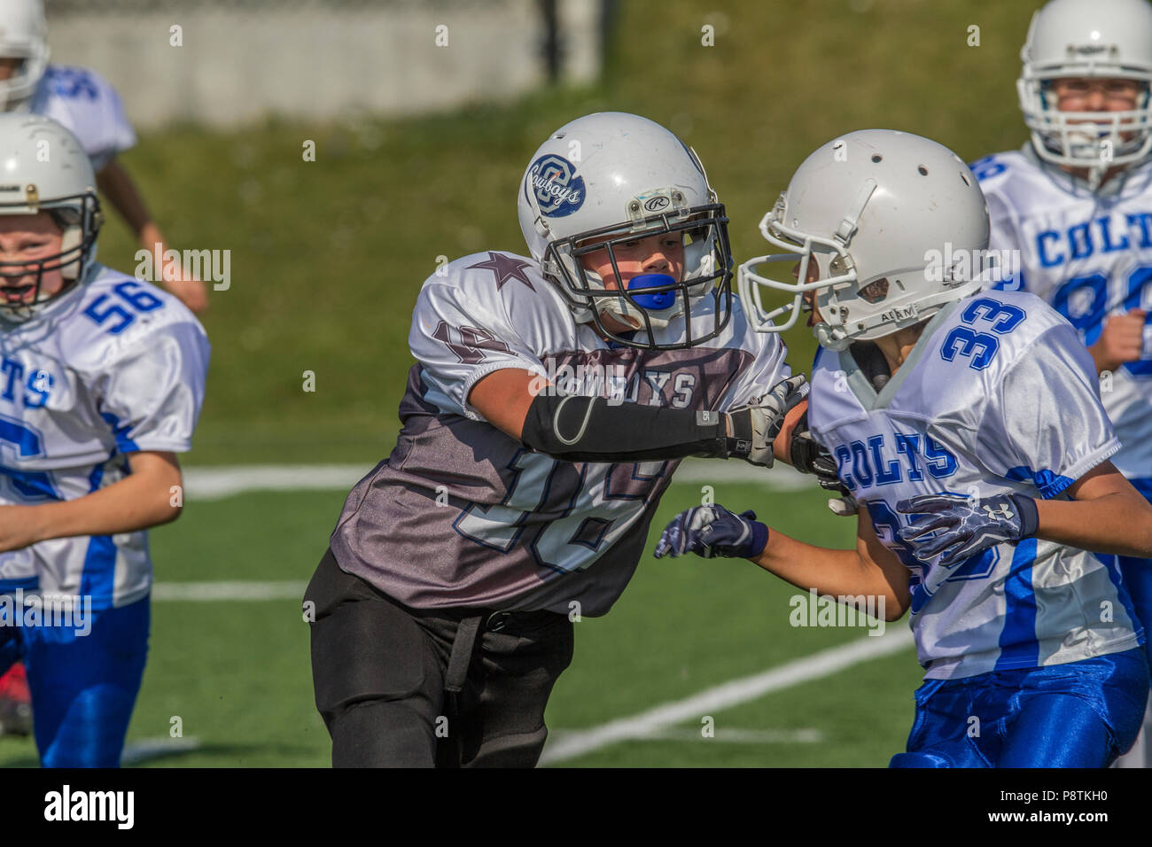Dramatic, colorful action photo's of Boys Bantam football in Calgary