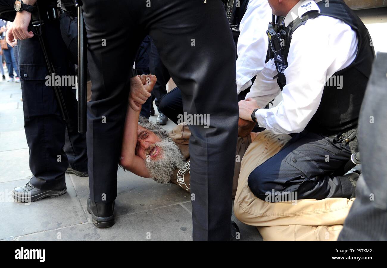 Arrests of anti Donald Trump protesters, Whitehall, London, UK Credit: Finnbarr Webster/Alamy Live News Stock Photo