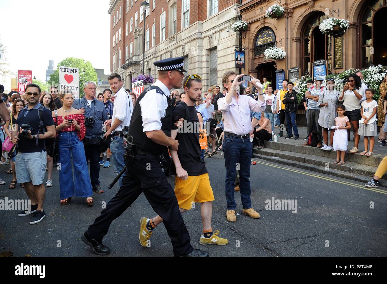 Arrests of anti Donald Trump protesters, Whitehall, London, UK Credit: Finnbarr Webster/Alamy Live News Stock Photo