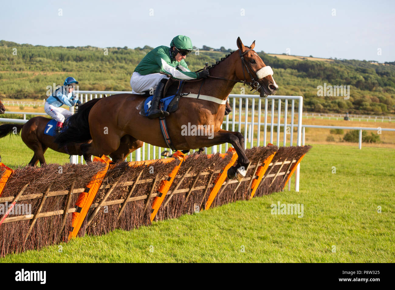 Court Royale (jockey Adam Wedge) jumps in a race at Ffos Las racecourse Stock Photo