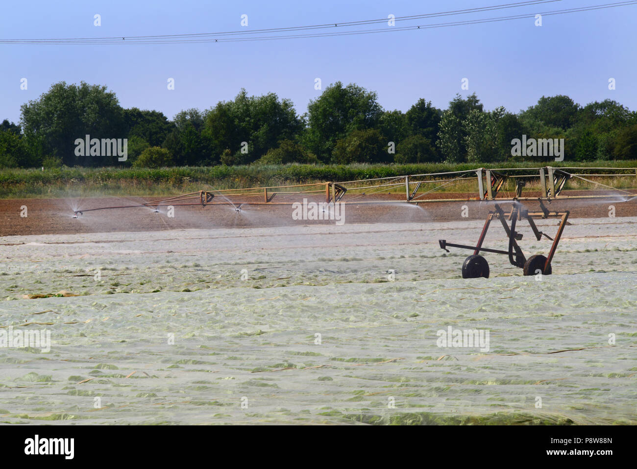 centre pivot boom crop irrigation system in use during drought in field with plastic mulches to retain moisture and suppress weeds york united kingdom Stock Photo