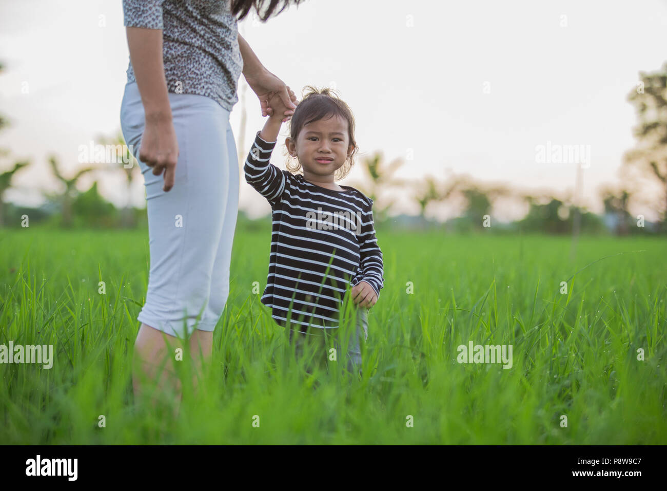 worried asian child in paddy rice field together Stock Photo - Alamy