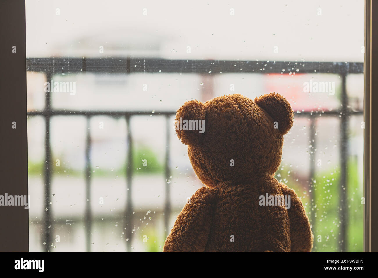 lonely teddy bear in the rain. Stock Photo